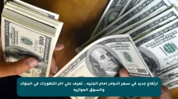 ارتفاع جديد في سعر الدولار أمام الجنيه.. تعرف على آخر التطورات في البنوك والسوق الموازية